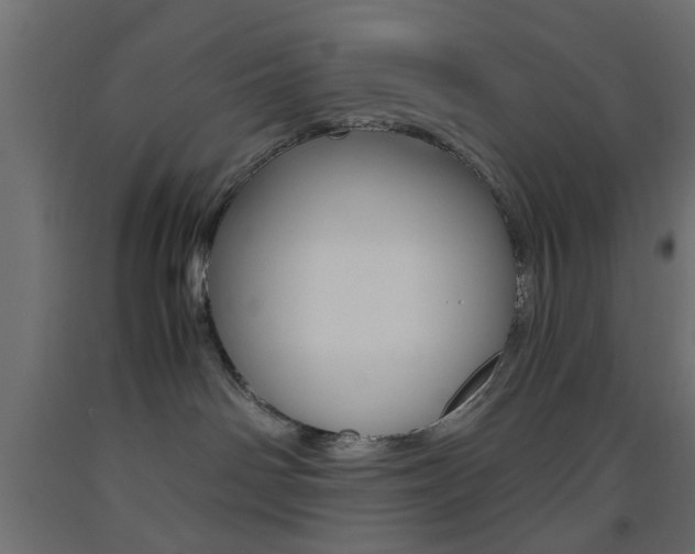 X0000093440142200710120953