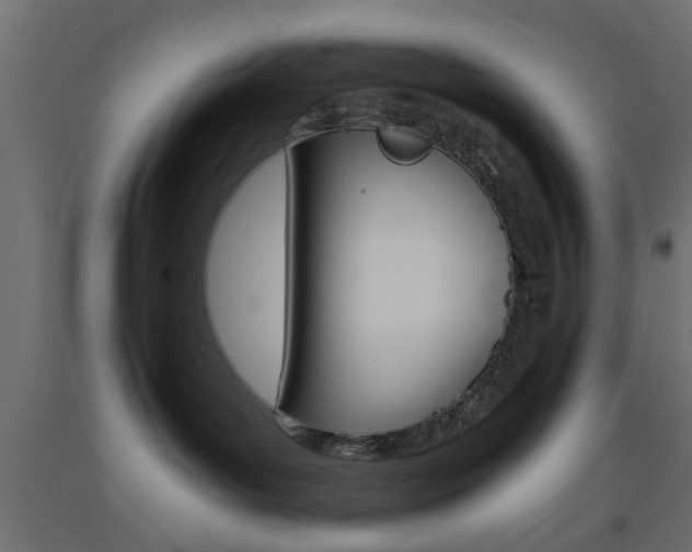 X0000093440143200710120953
