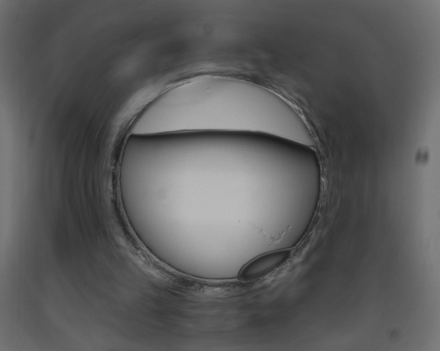 X0000093440149200710120952