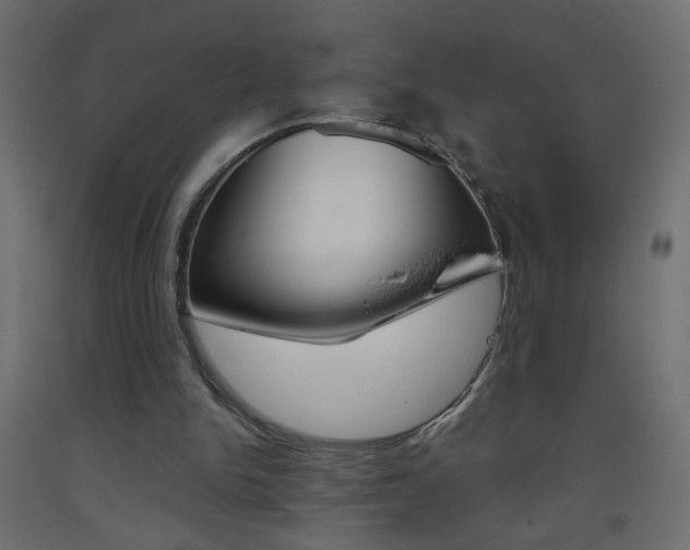 X0000093440150200710120952