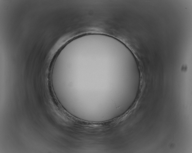 X0000093440151200710120952