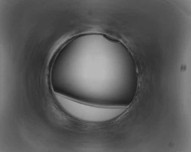 X0000093440152200710120952