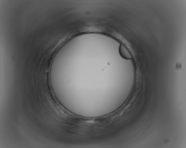 X0000093440153200710120952