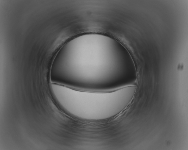X0000093440154200710120952