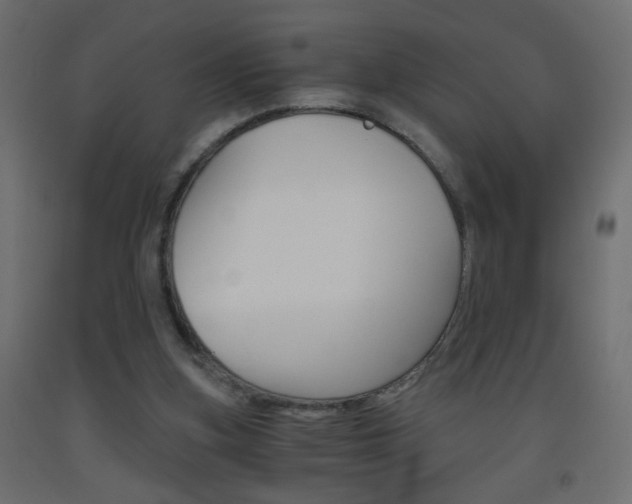 X0000093440155200710120952