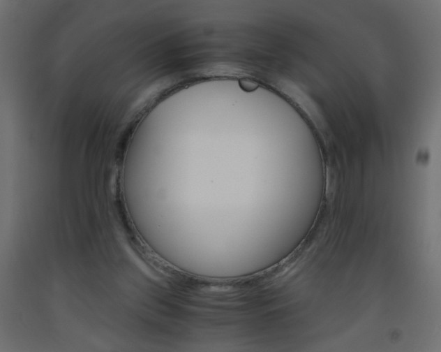 X0000093440157200710120952
