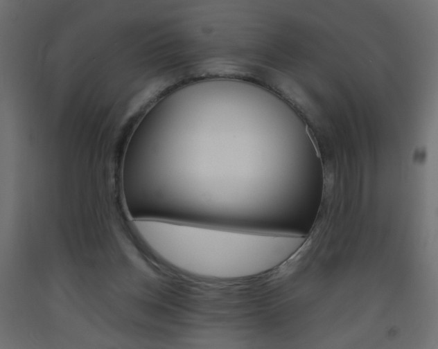 X0000093440158200710120952