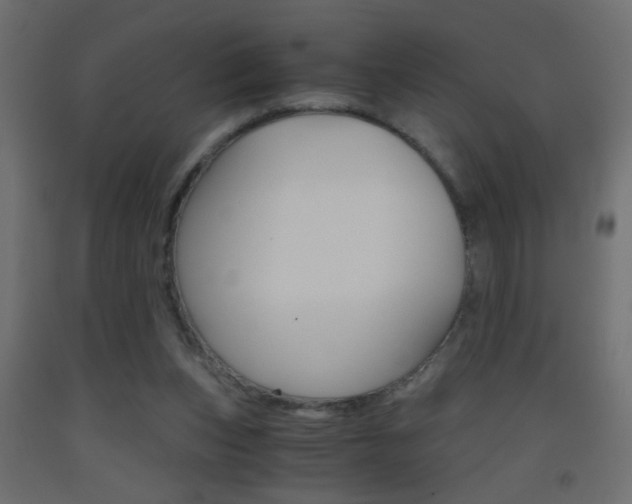 X0000093440159200710120952