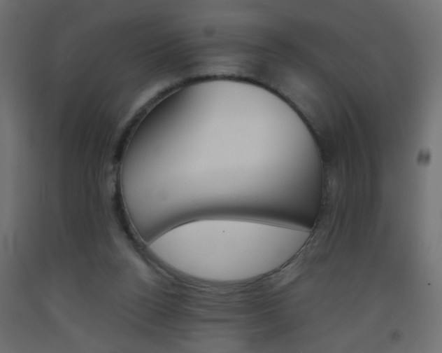 X0000093440160200710120952