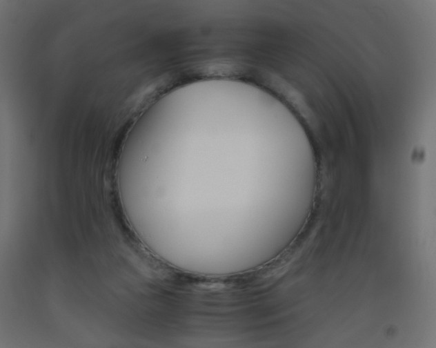 X0000093440161200710120952