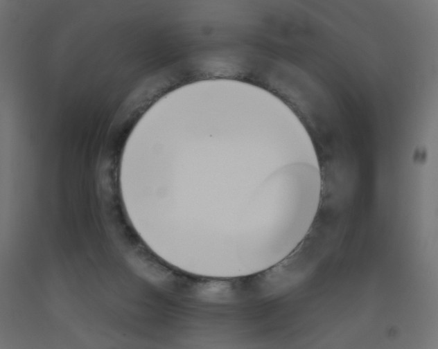 X0000093440162200710120952