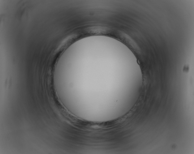 X0000093440163200710120952