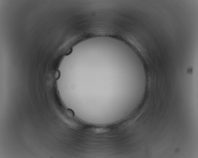 X0000093440165200710120952