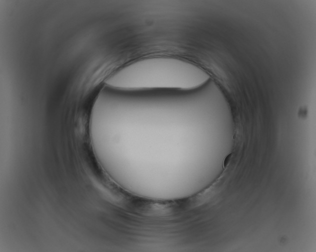 X0000093440166200710120952