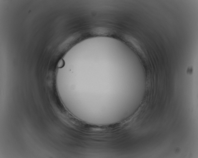 X0000093440167200710120952
