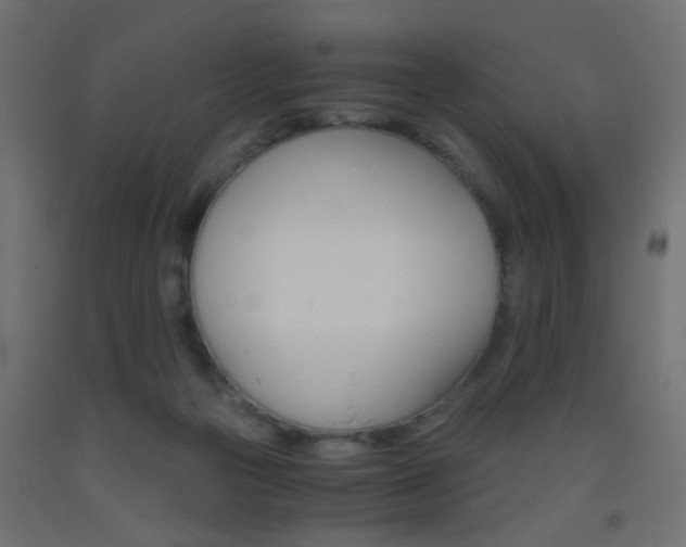 X0000093440169200710120952
