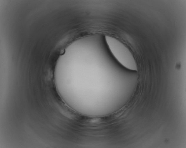 X0000093440173200710120952