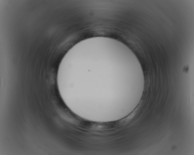 X0000093440174200710120952