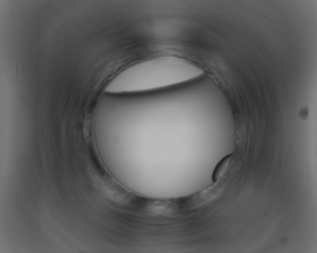 X0000093440175200710120953