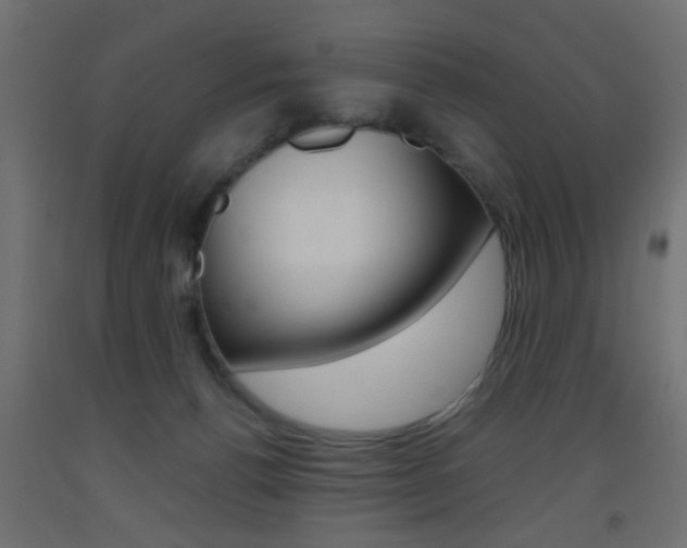 X0000093440176200710120953