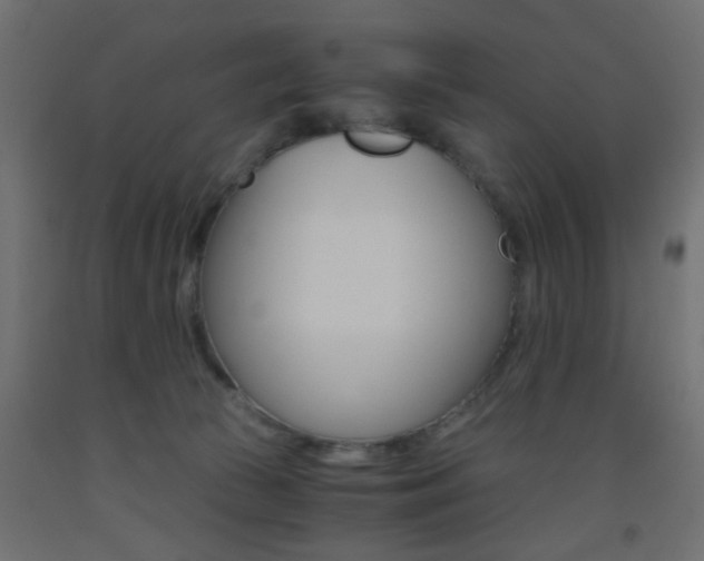X0000093440177200710120953