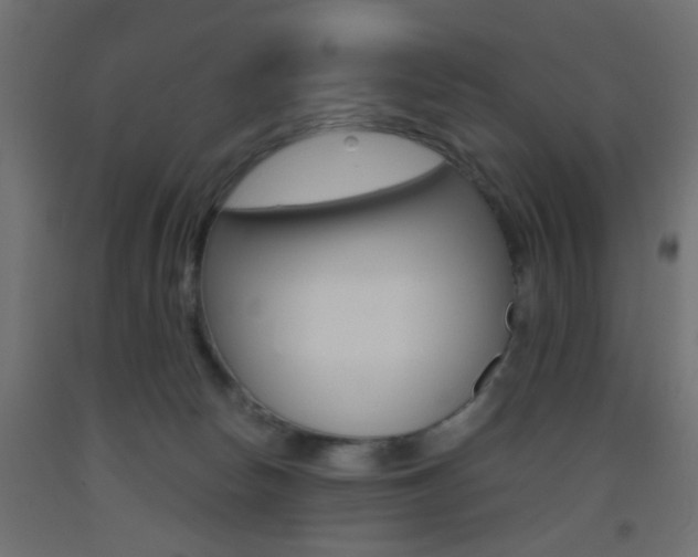 X0000093440178200710120953