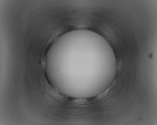 X0000093440179200710120953