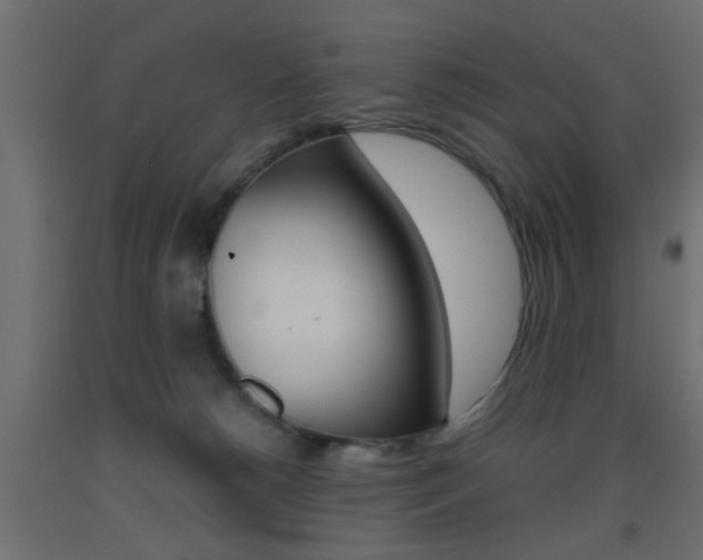 X0000093440180200710120953