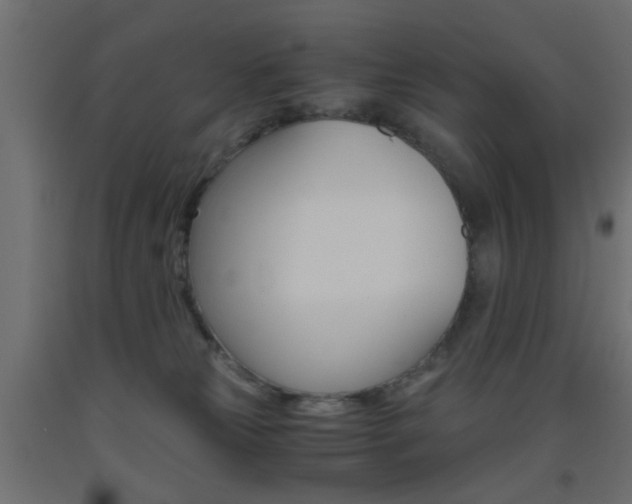 X0000093440181200710120953