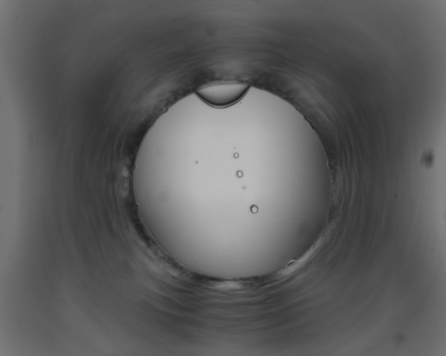 X0000093440183200710120953
