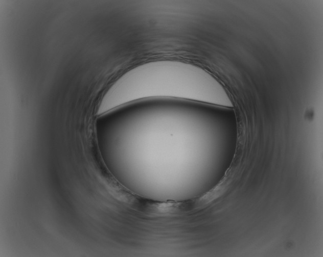 X0000093440184200710120953