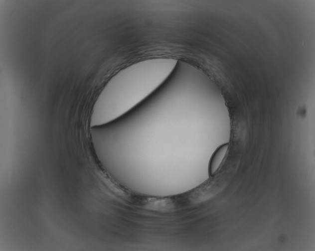 X0000093440185200710120953