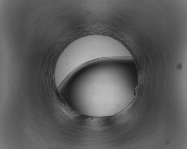 X0000093440186200710120953