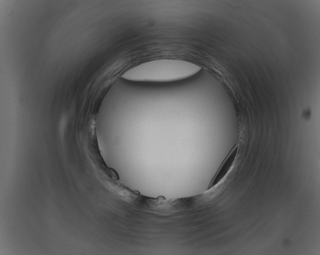 X0000093440191200710120953