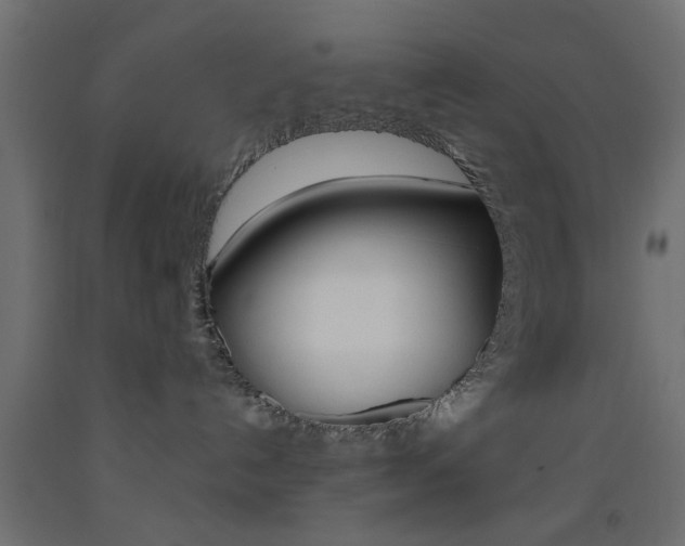 X0000093440192200710120953