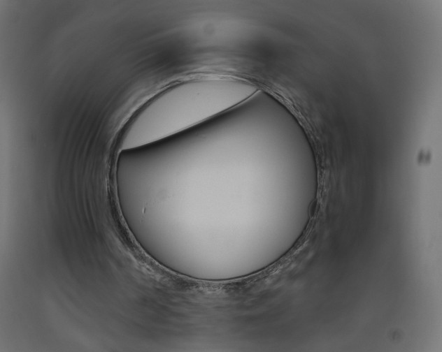 X0000093440194200710120952
