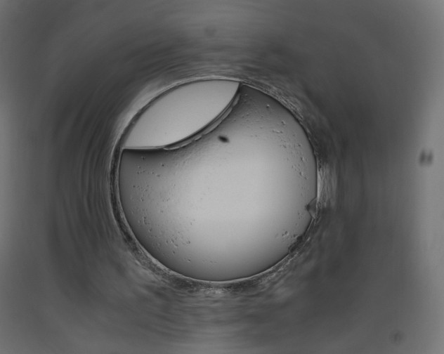X0000093440195200710120952