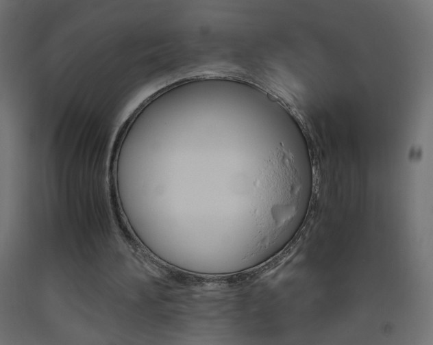 X0000093440196200710120952