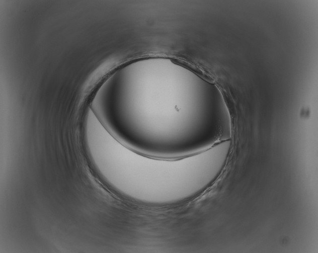 X0000093440197200710120952