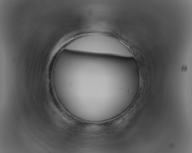X0000093440198200710120952