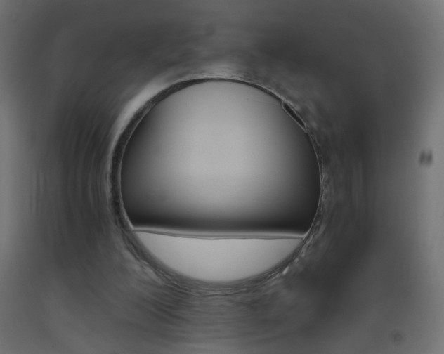 X0000093440200200710120952