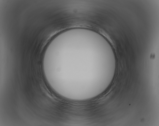 X0000093440203200710120952