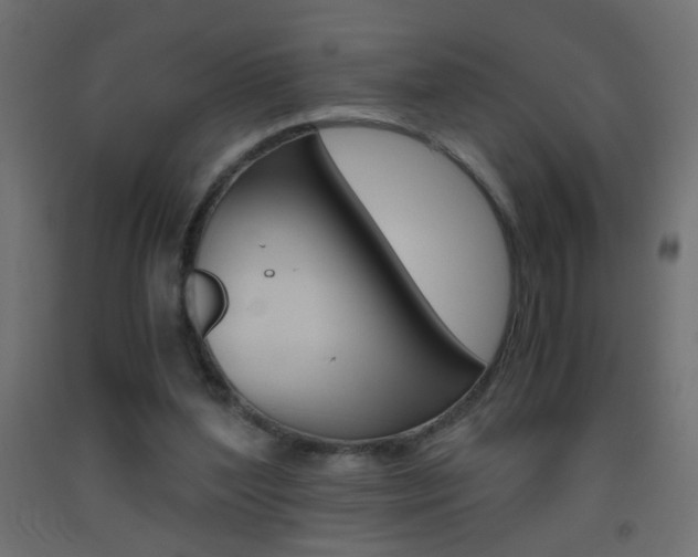 X0000093440204200710120952