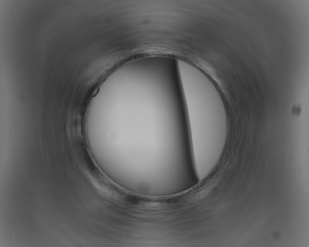 X0000093440205200710120952