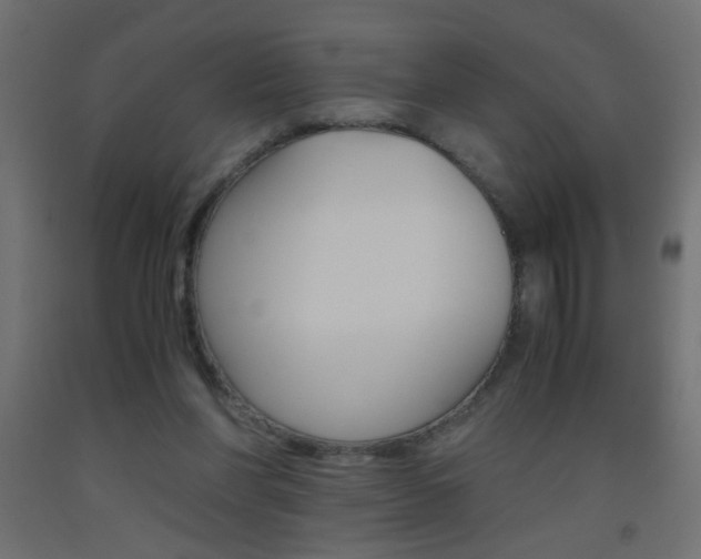 X0000093440206200710120952