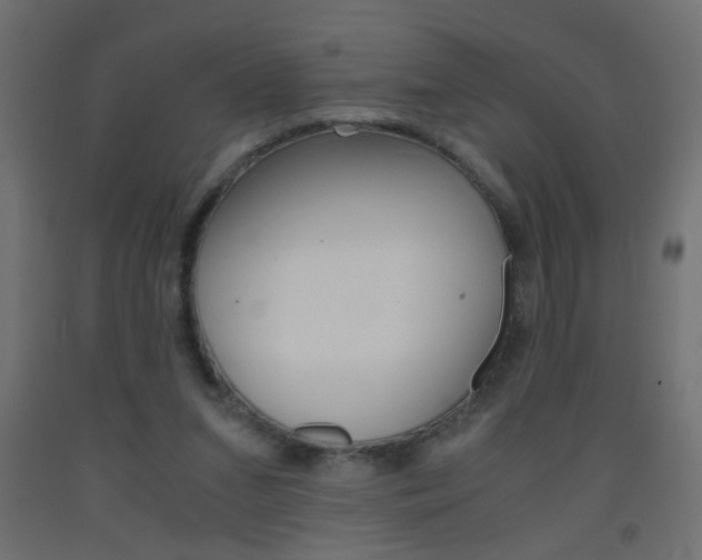 X0000093440207200710120952