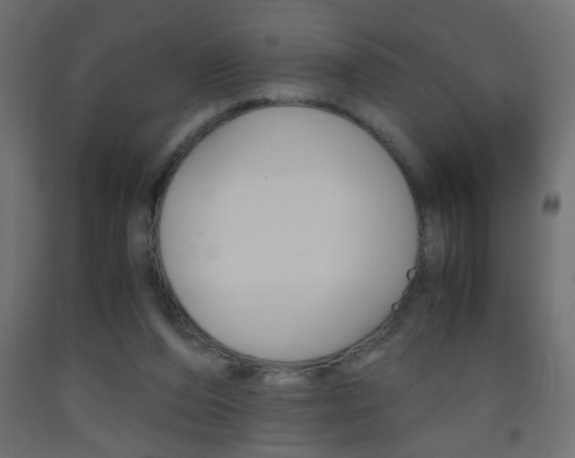 X0000093440208200710120952
