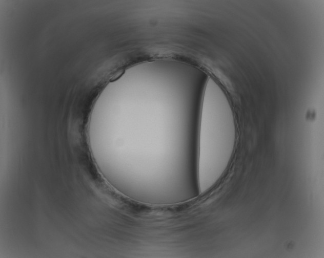 X0000093440209200710120952