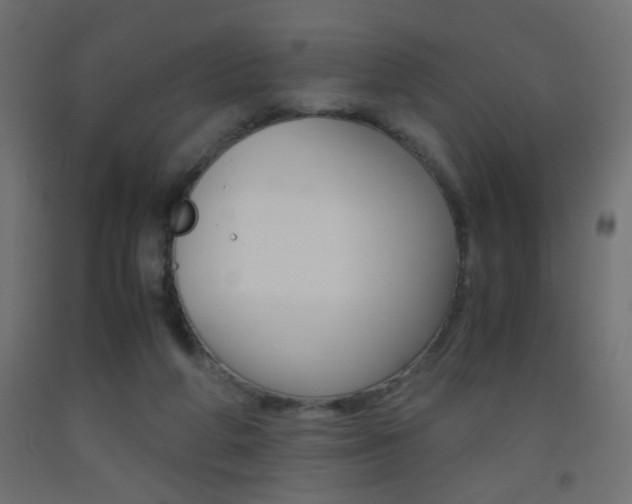 X0000093440210200710120952