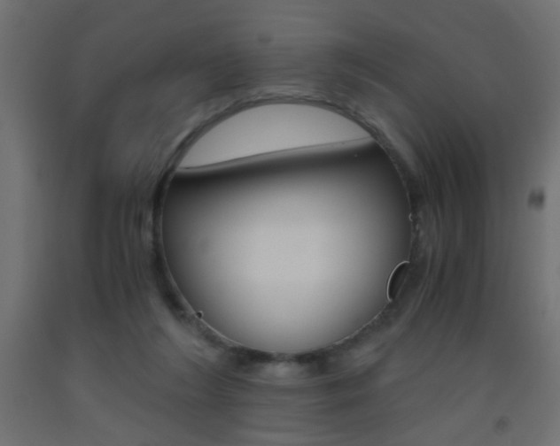 X0000093440212200710120952